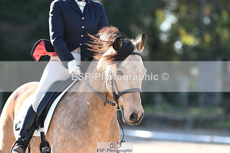 231110-113035-00444 - Cls 2 Prelim 17(a)Q