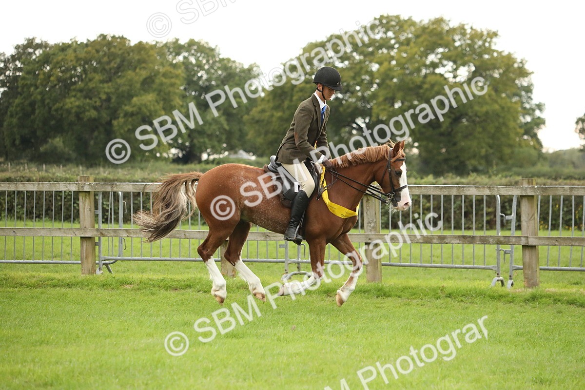 SBM_73888 - S41 - Ridden Equitation (Best Rider)