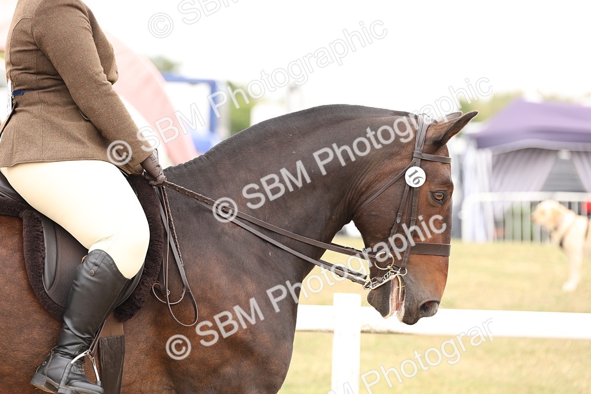 SBM_19479 - Class 215 - Ridden Show cob