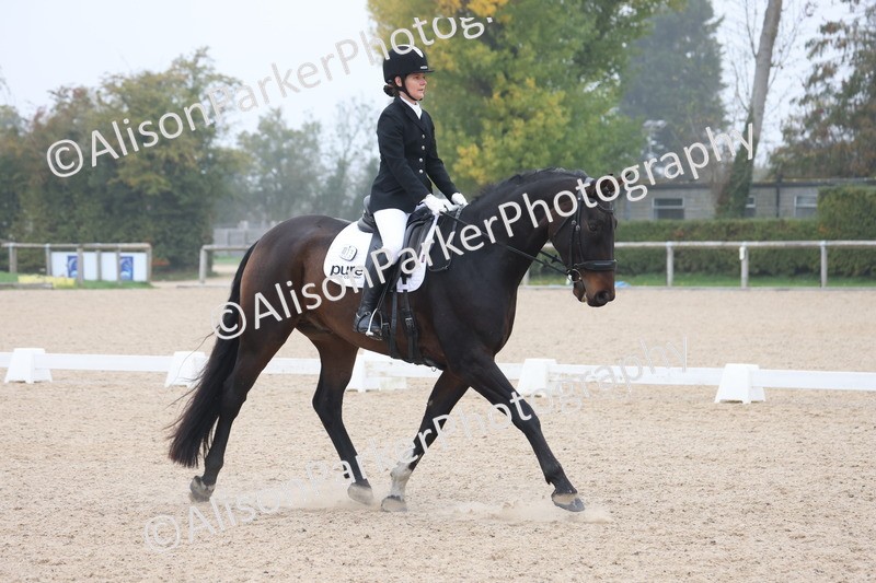 20251012-0455 - Class 3 - Novice 5