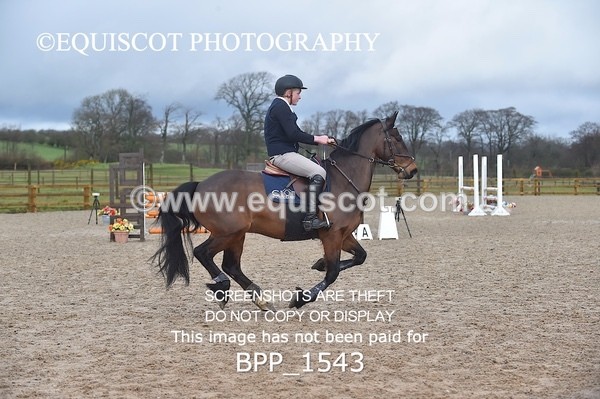 BPP_1543 - CLASS 7 Pony Discovery / 90cm Open