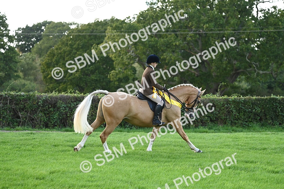 SBM_26506 - S6 - Novice & newcomer Ridden horse