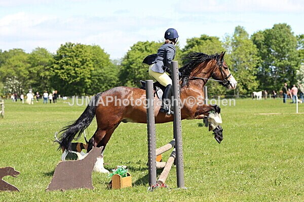 IMG_3482 - Working Hunter