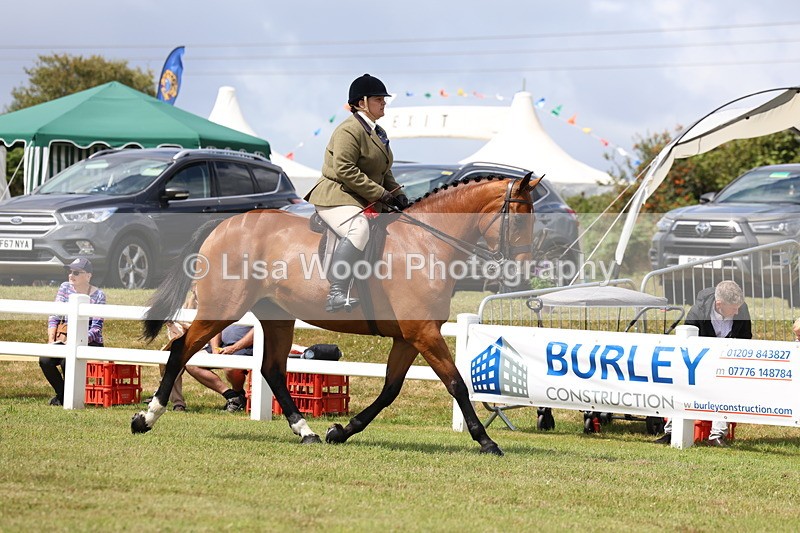 3E7A0488 - Rising Star Ridden Championship