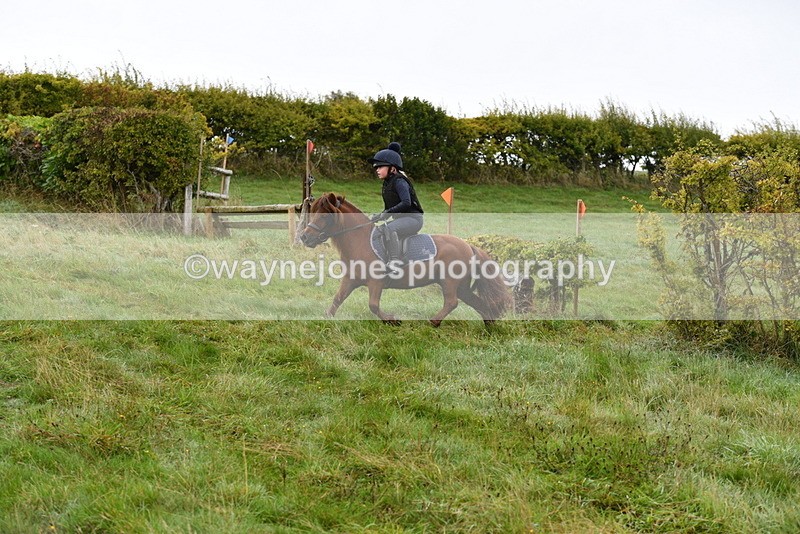 WJ5_5601 - Time 10:05 to 10:30  (3 cameras)