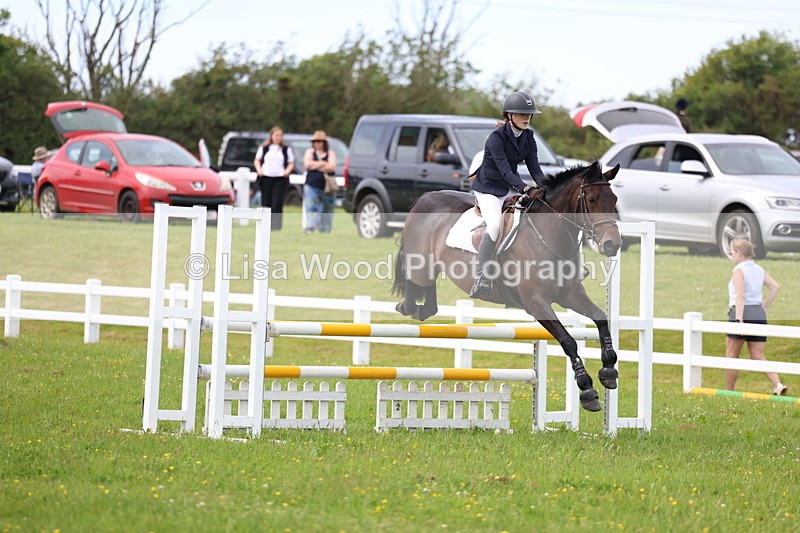 3E7A1808 - Class 13: Senior British Novice/90cm open