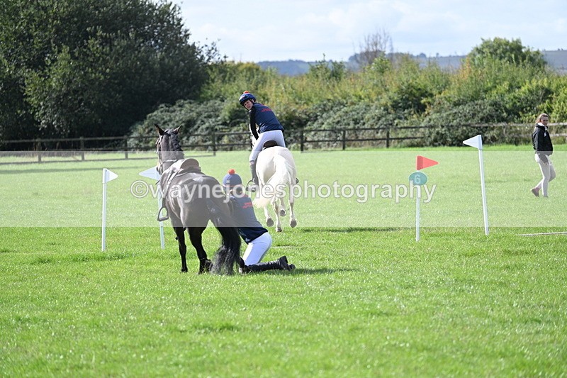 WJ7_8540 - 60cm Pairs