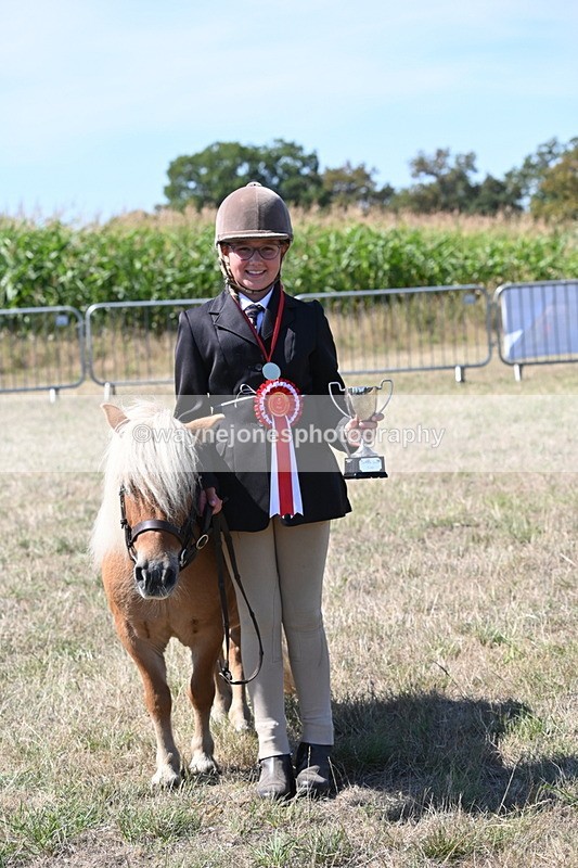 WJ6_8759 - Class 37b Best Loan Pony In-hand