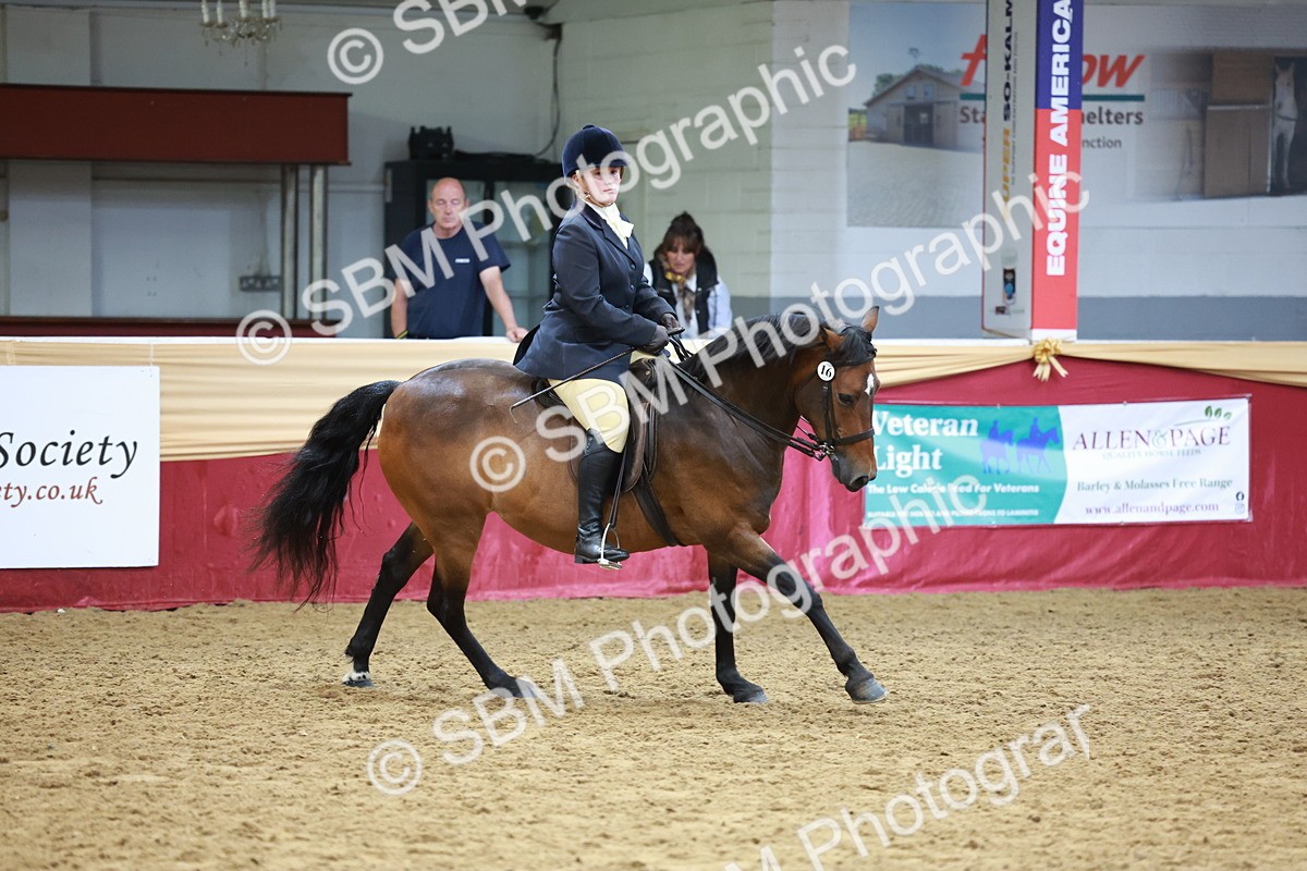 SBM_18808 - Class 952 - M&M Ridden Supreme Final