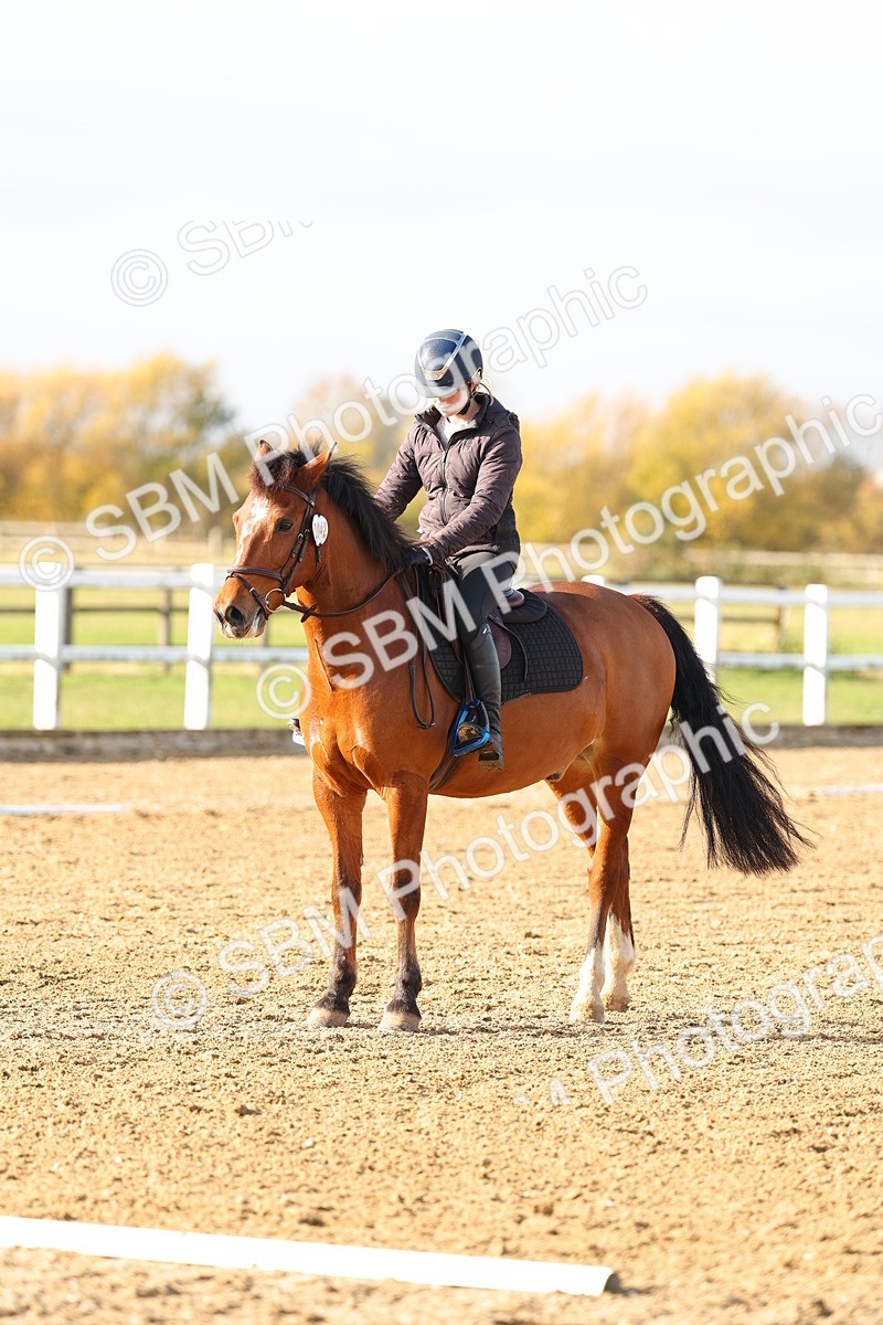 SBM_001231 - Class 13-4-9 - DR P3 CT P3 70cm CT PYO