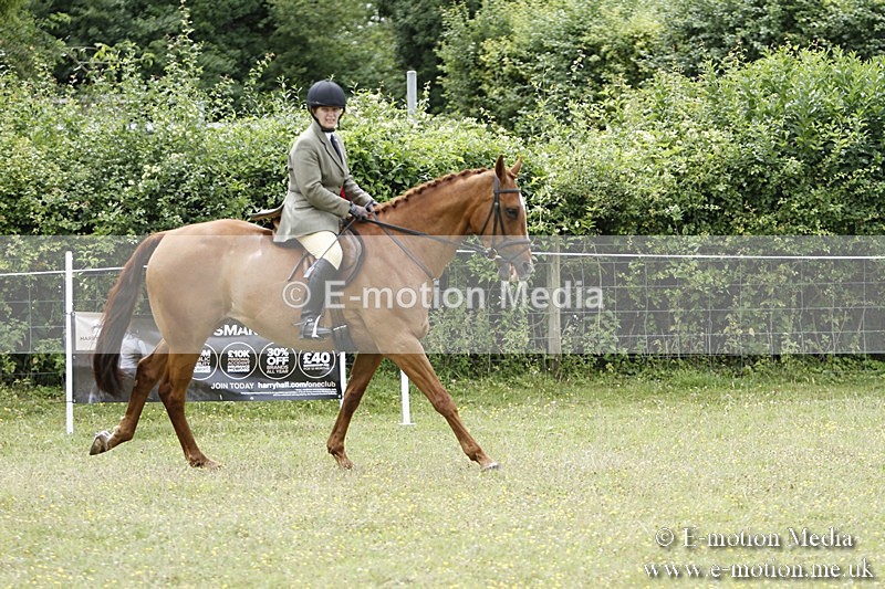 BVR160717-2289 - Working Hunter Championship 16/07/17