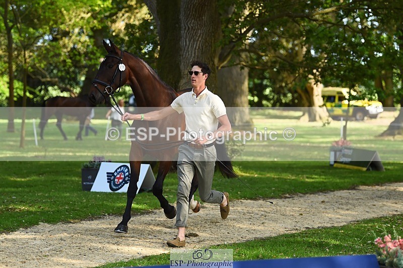 230524-171912-01430 - 176-TENZ-Will_Rawlin-WEDTrotUp+DR