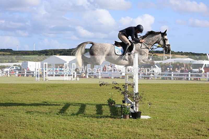 3E7A4408 - Class C: Showjumping Senior Foxhunter