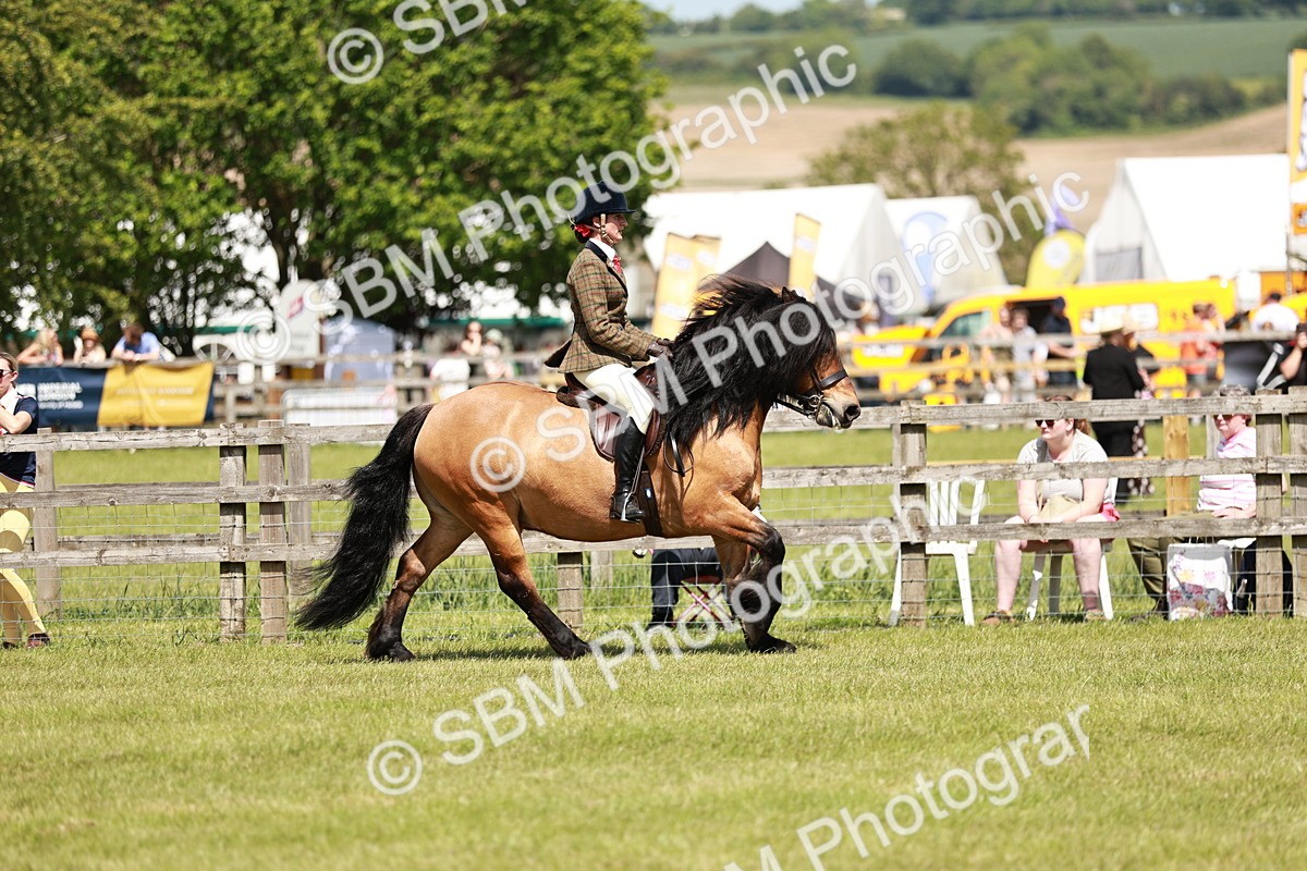 SBM_07108 - Class 26-30 - Mountain and Moorland Ridden