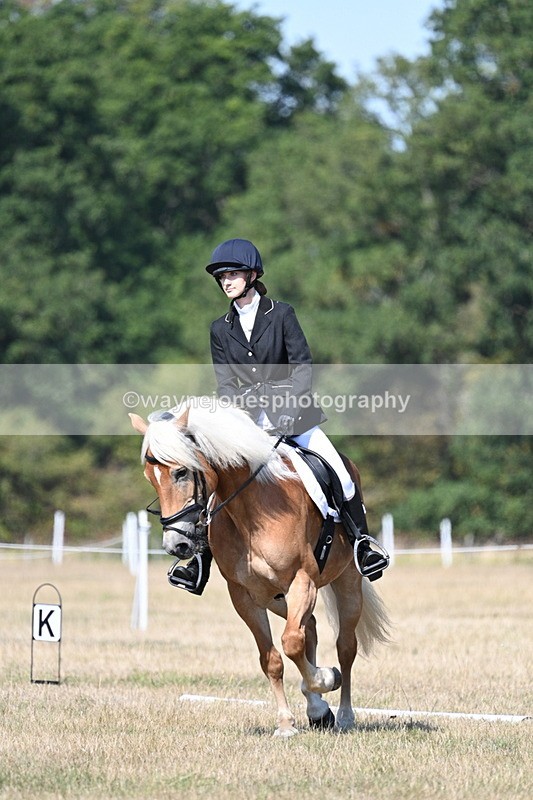 WJ7_0271 - Time 11:33 to 11:44