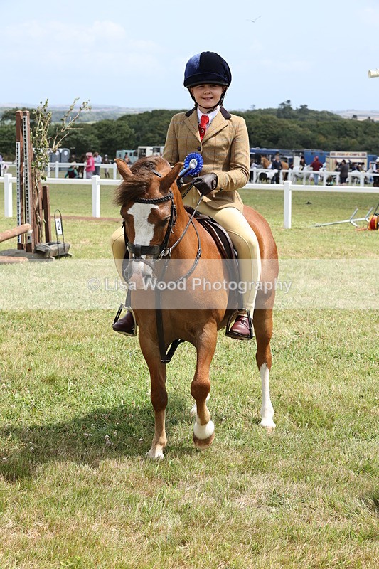 JPP_1985 - Class 18: Tiny Tots Working Hunter Pony