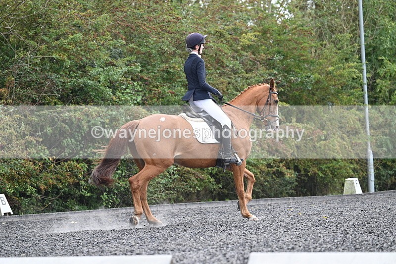 WJ7_6769 - Time 14:49 to 15:14