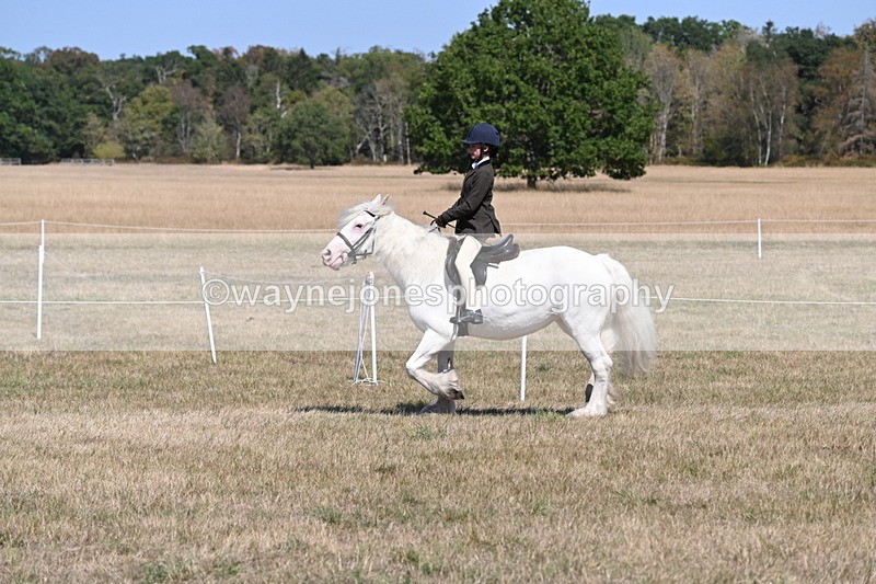 WJ6_8839 - Class 38 Ridden Riding Horse/Pony