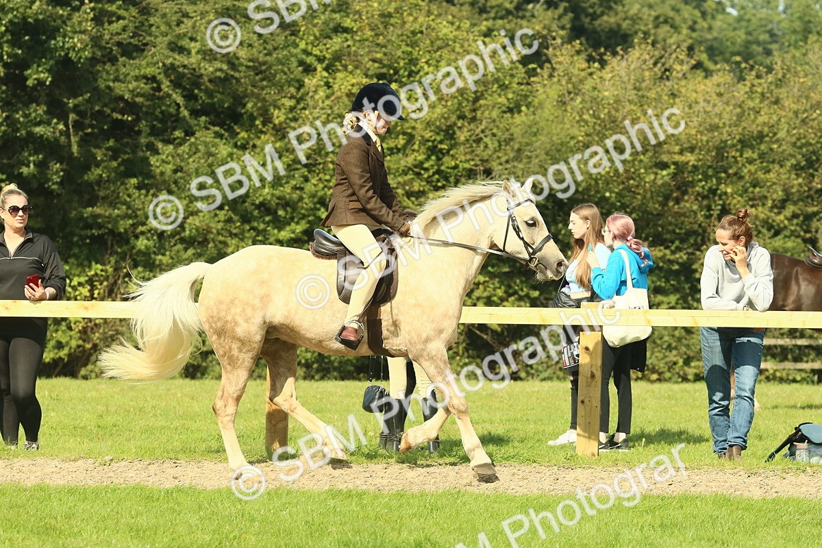 SBM_67467 - S56 - Coloured Pony Ridden