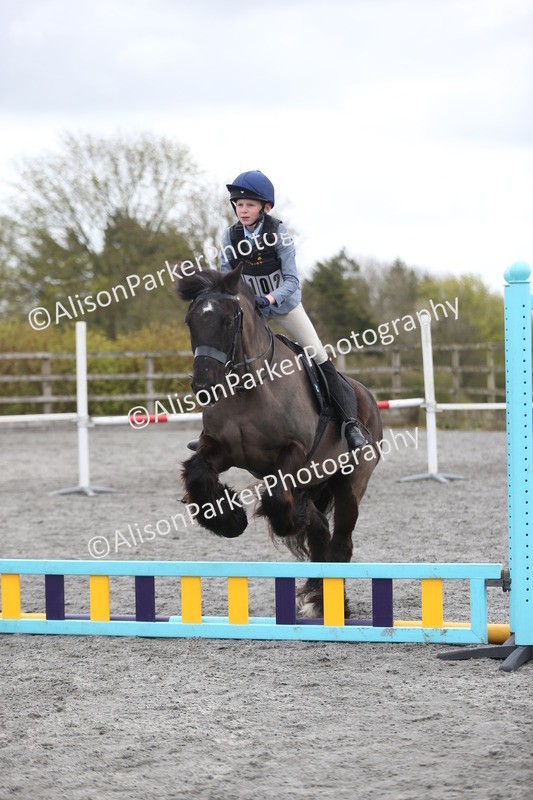 20260412-0595 - Show Jumping