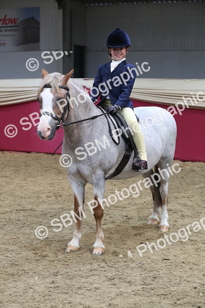 SBM_16477 - Class 502 M&M Ridden Supreme Final