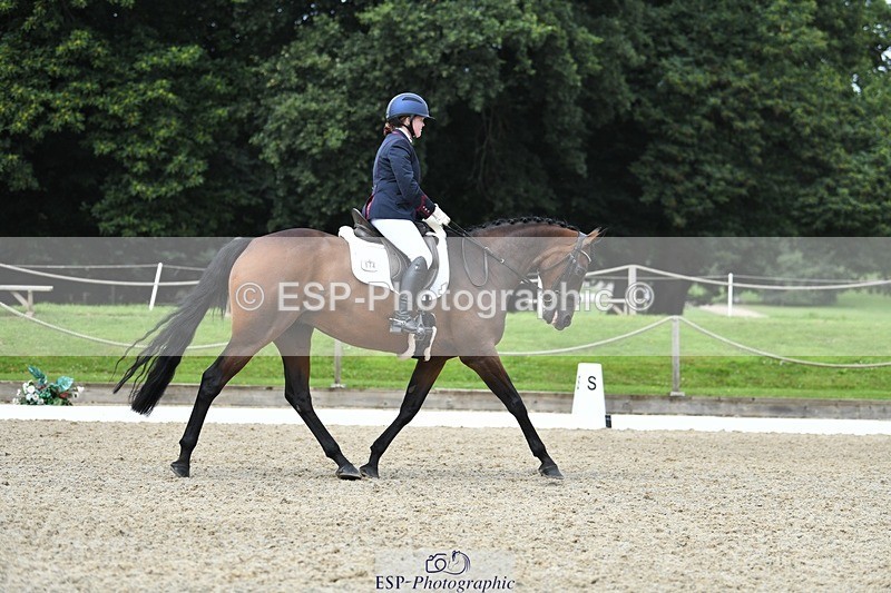 230812-110657-03529 - Cls 6 Novice Silver 10.30 to 11.55 break