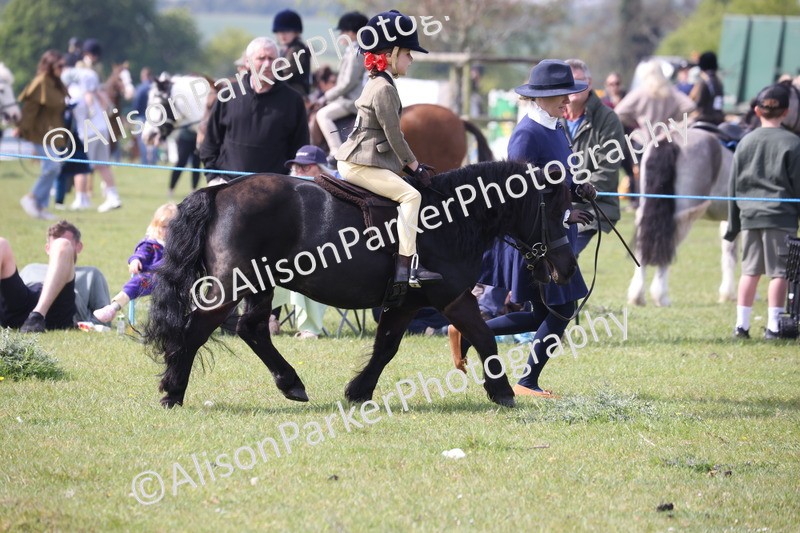 20260426-2575 - Class 31 - Leading Rein