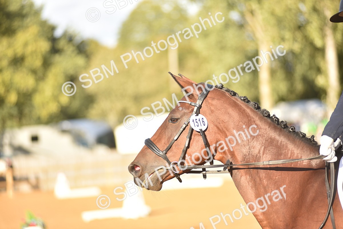 SBM_53378 - D24 - Junior Championship Prelim 3