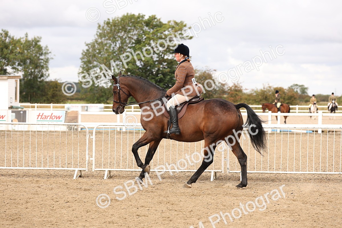 SBM_02832 - Class 53 - Ridden Competition Horse/Pony