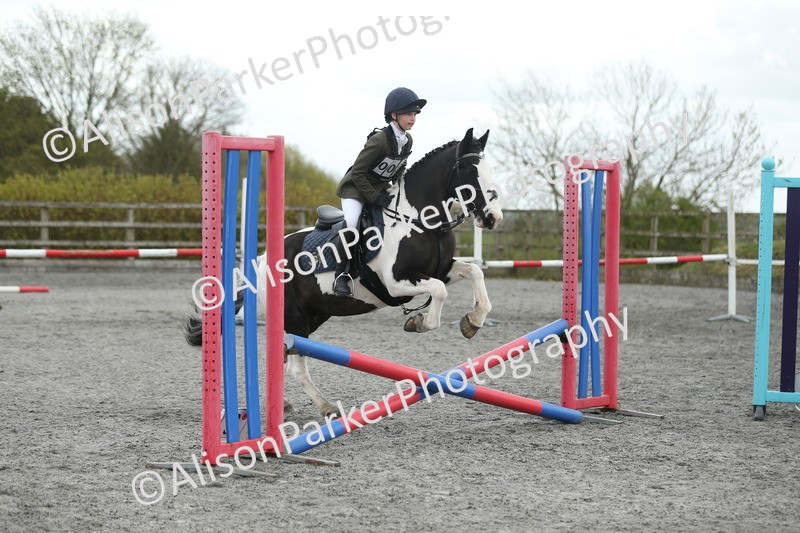 20260412-0624 - Show Jumping