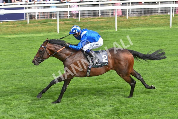 yr17082022r4-87 - Race 4 3.35pm Juddmonte International Stakes (British Champions Series Race)