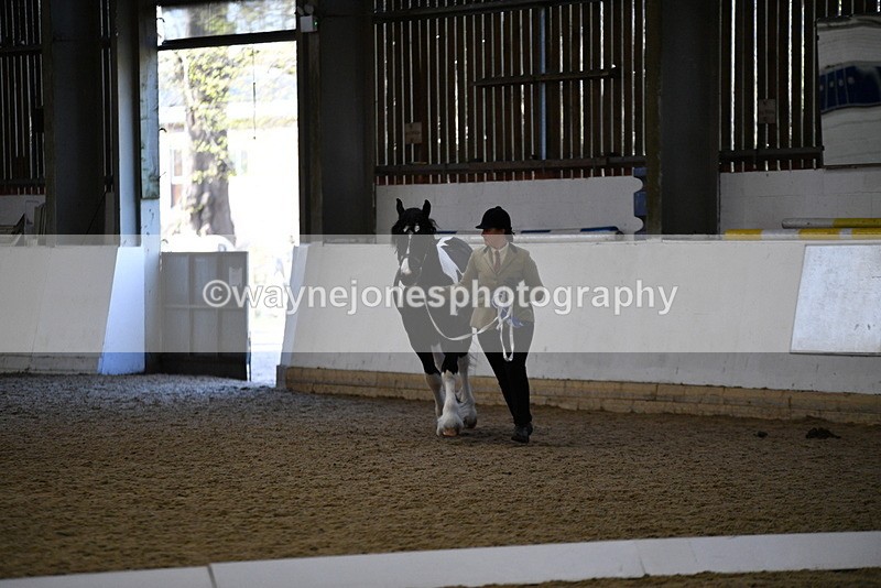 WJ5_3748 - Class 5 In Hand Veterans