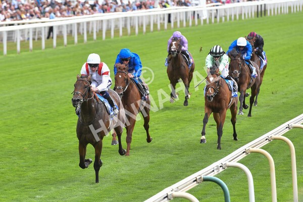 yr17082022r3-32 - Race 3 3.00pm Sky Bet Great Voltigeur Stakes