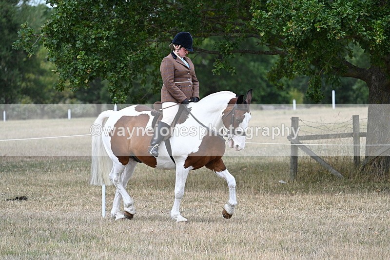 WJ7_4773 - Class 12 Ridden Cob