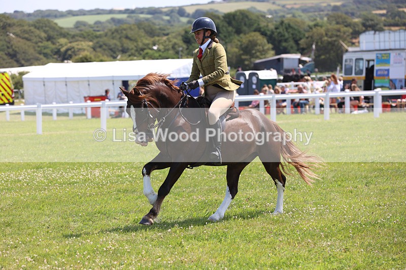 JPP_3038 - Class 22: Working Hunter 70cm