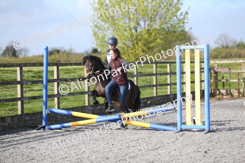 20260412-0043 - Show Jumping