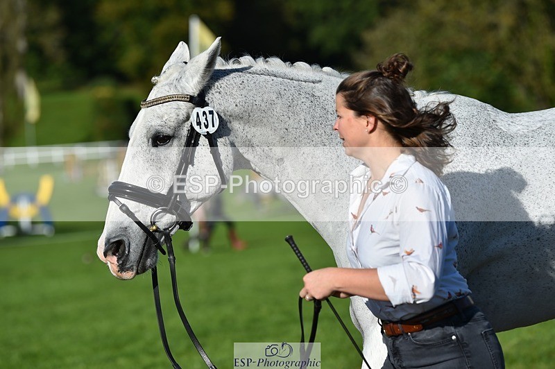 231022-110732-23742 - 437-DONBEG.GREY-Hannah.Underhill-TrotUp+SJ