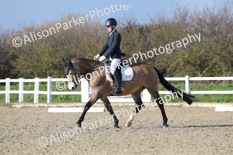 20260314-5870 - DR8 - Elementary 2