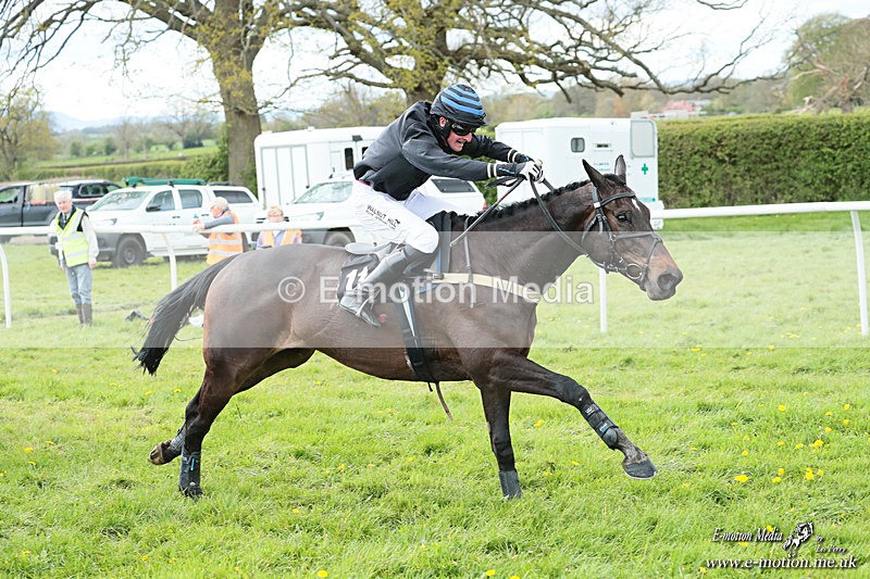PtP 180426 571 - Worcestershire Hunt PtP Chaddesley Corbett 18/04/26