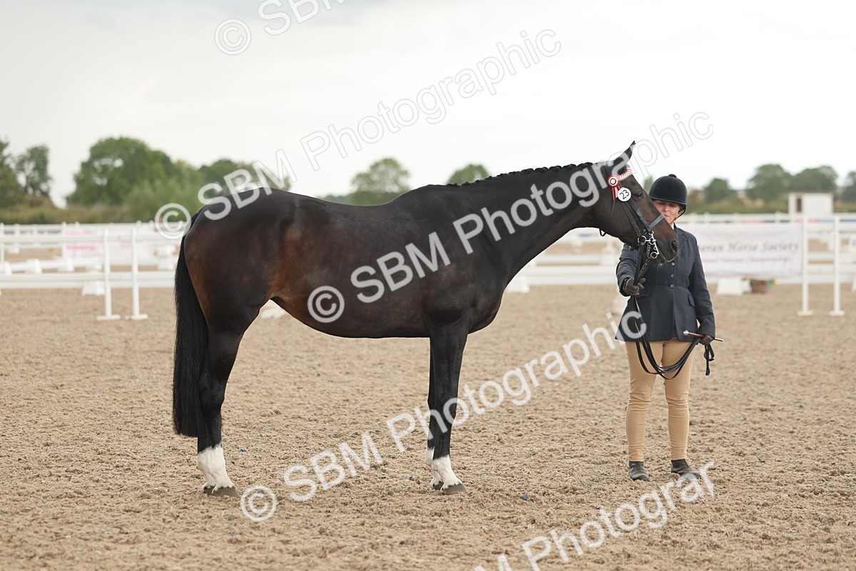 SBM_07674 - Class 26 - IH Foreign Breeds - Part Bred