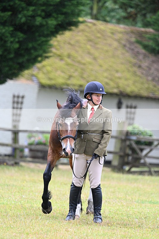 WJ7_6297 - Class 4a Prettiest Mare over 14hh