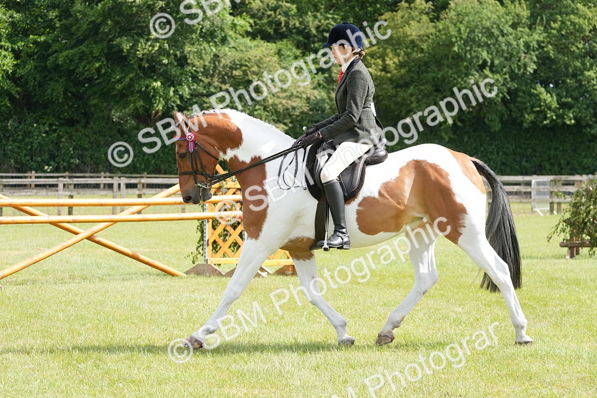 SBM_17579 - Class 107-108 - LIHS BSPS Performance Coloured Horse Pony