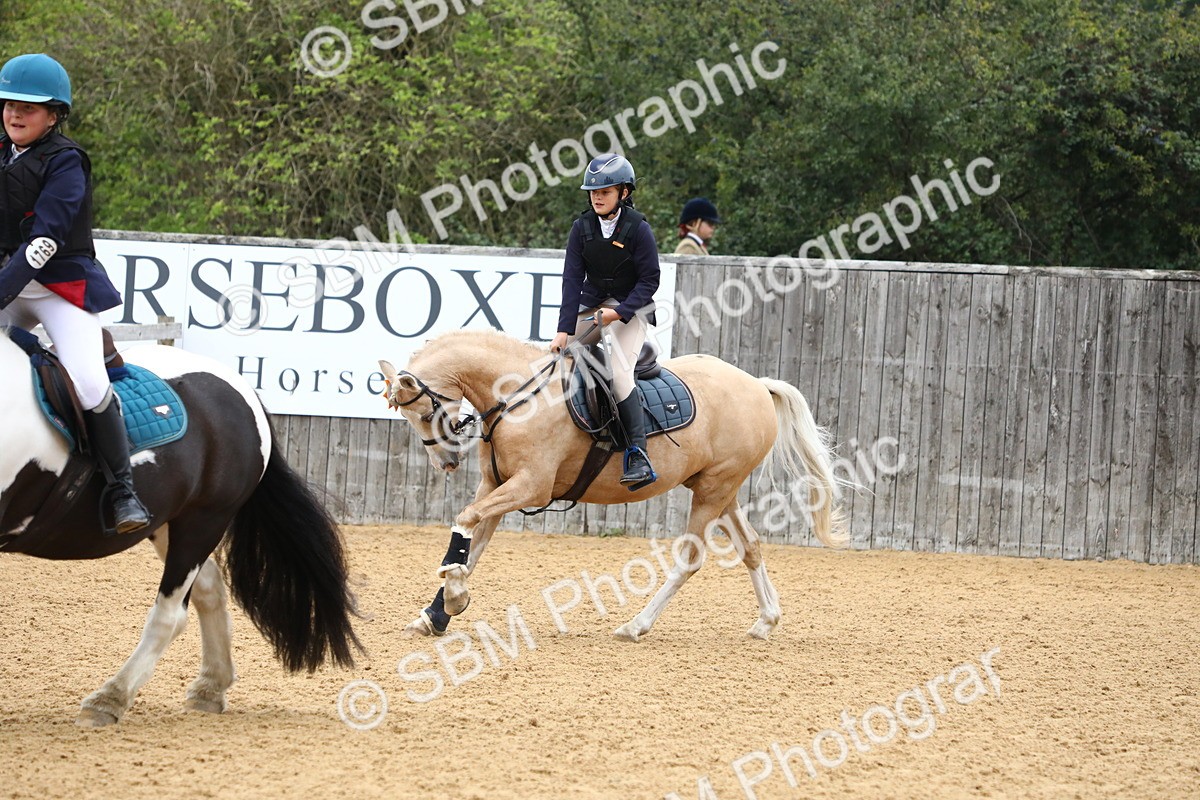SBM_60208 - J63 - Junior Pony 50cm Championship