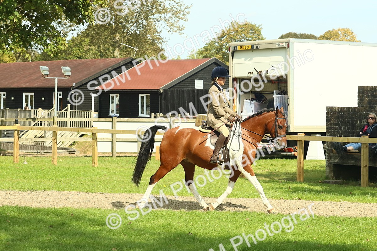 SBM_67488 - S56 - Coloured Pony Ridden