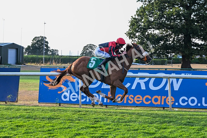 140826-Race 4-Raging Raj-1327 - Race 4 19.18pm Andrew Seaton Celebration Cup Handicap