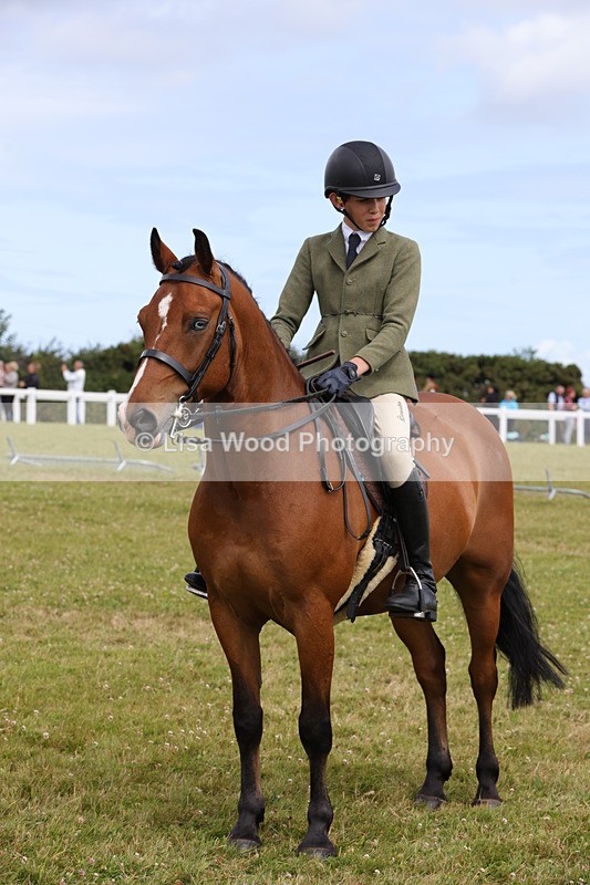 1X9A4042 - Class 32: Show Hunter Pony 153cm and under