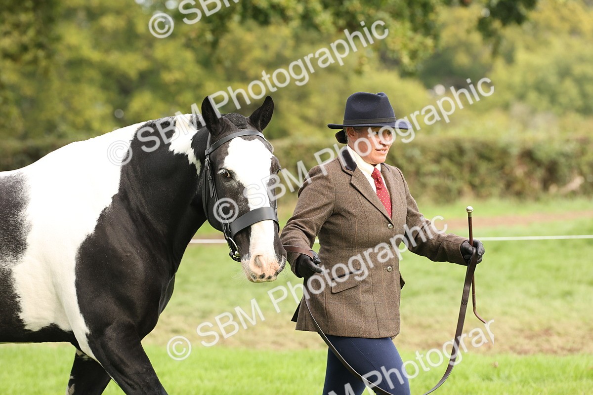 SBM_57485 - S56 - Show Cob in Hand