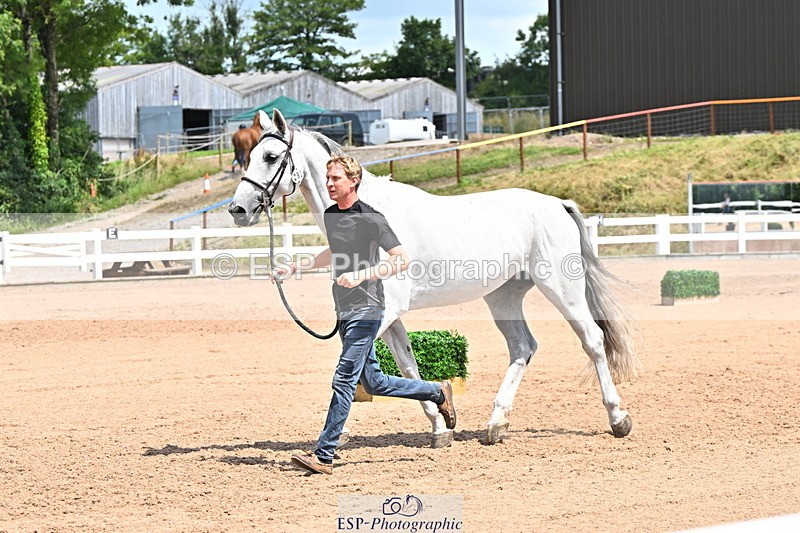 240718A-105313-01711 - Trot Up 1pm to 2pm