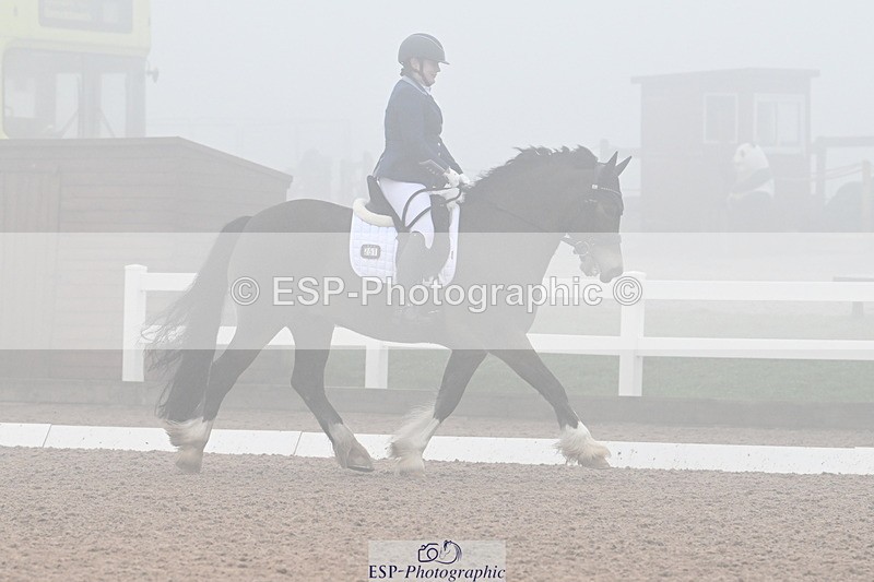 240217A-125406-02712 - 251-Alison.Crimp-Crwys.Beau