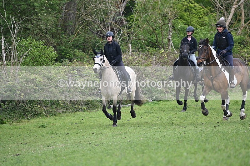 WJ6_2817 - A Camera